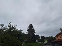 Olešná