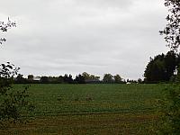 Němčice Zhoř