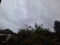 Olešná