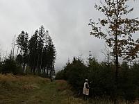 Čadca