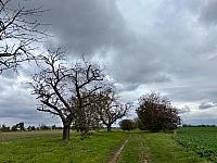 Hrnčiarovce nad Parnou