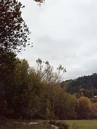 Čadca
