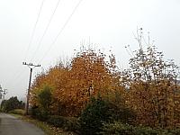 Čadca