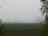 Němčice Zhoř