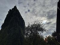 Olešná