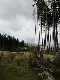 Čadca