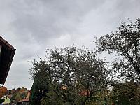 Olešná