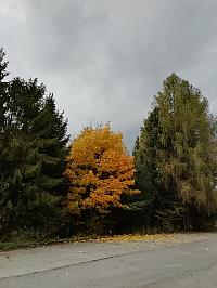 Čadca