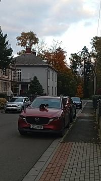 Český Těšín