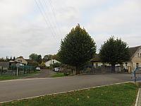 Třibřichy