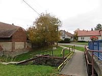 Třibřichy