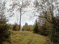 Čadca