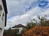 Olešná
