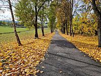 Svratka