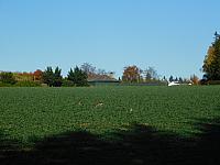 Němčice Zhoř