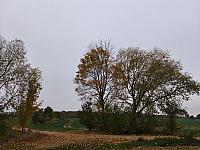 Lukovany