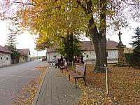 Třibřichy