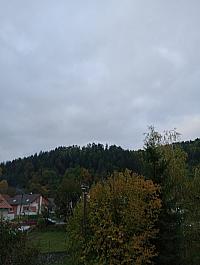 Hvozdnica