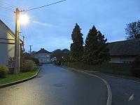 Třibřichy