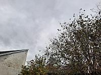 Mezná 