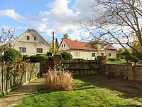 Třibřichy