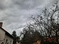 Olešná