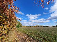 Chomutov