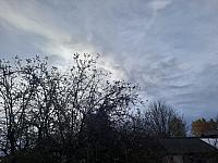 Olešná