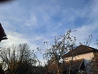 Olešná