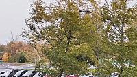 Hradec Králové - Třebeš