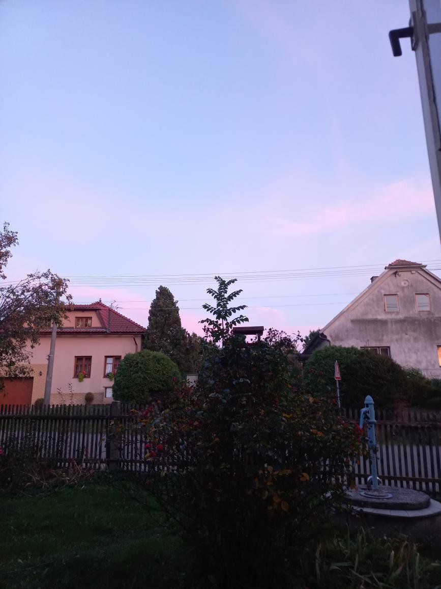 Třibřichy