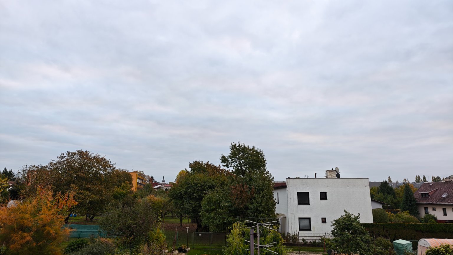 Hořice - Libonice
