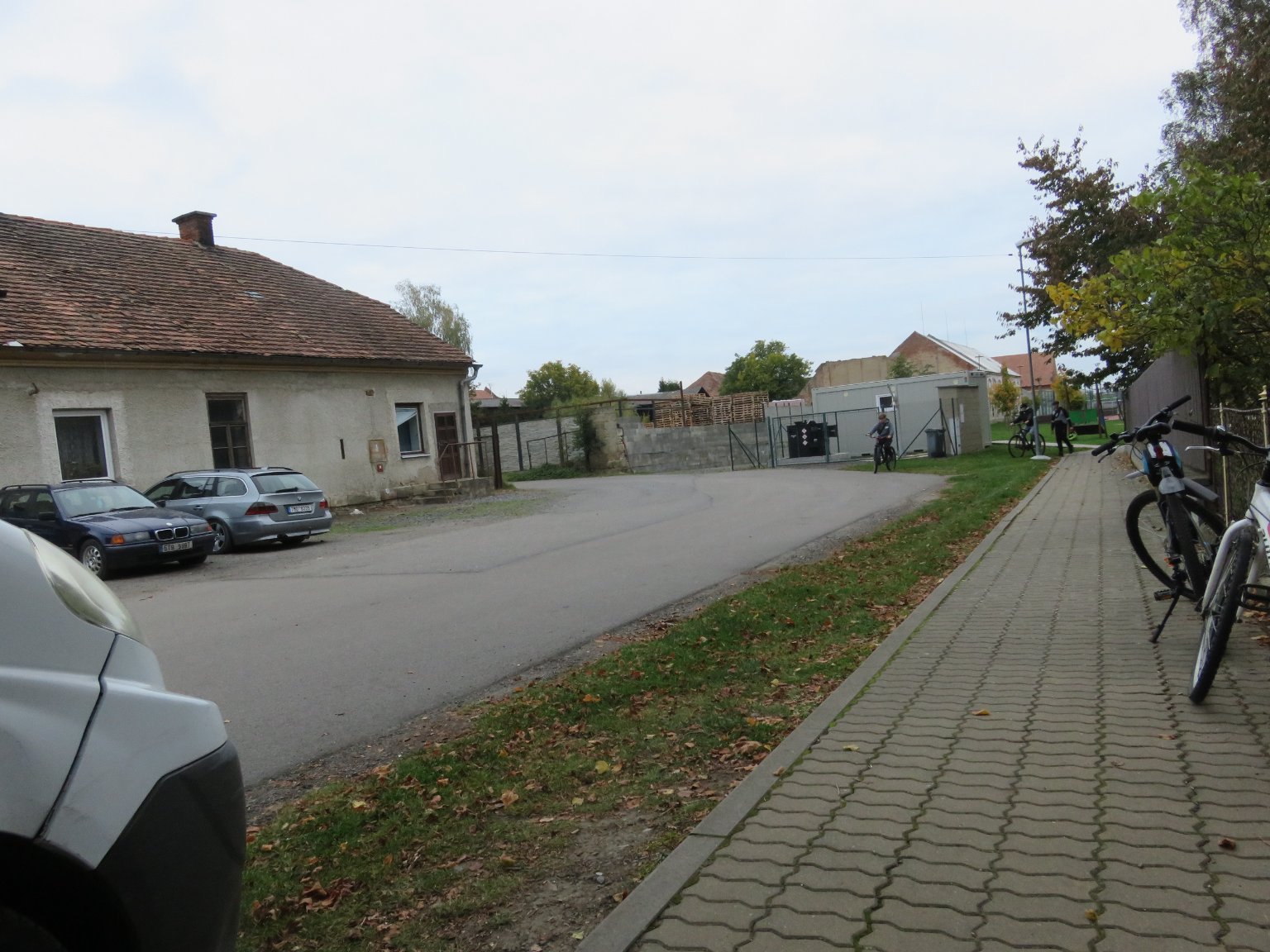 Třibřichy