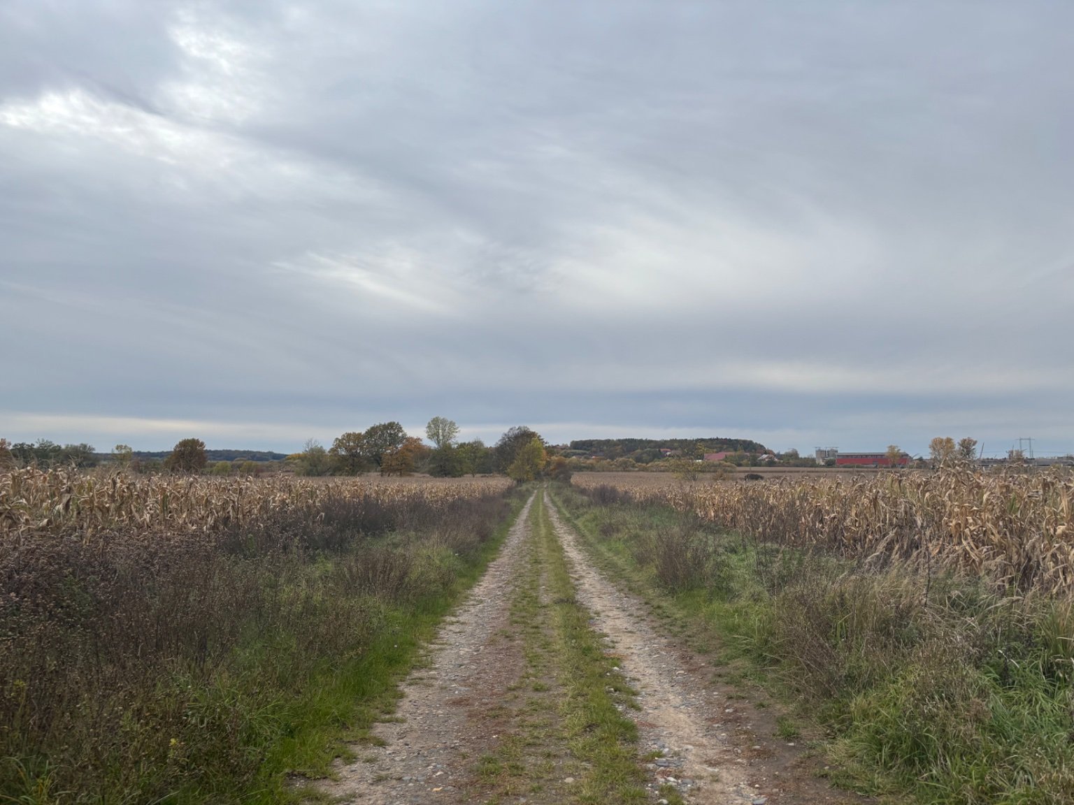 Přelouč