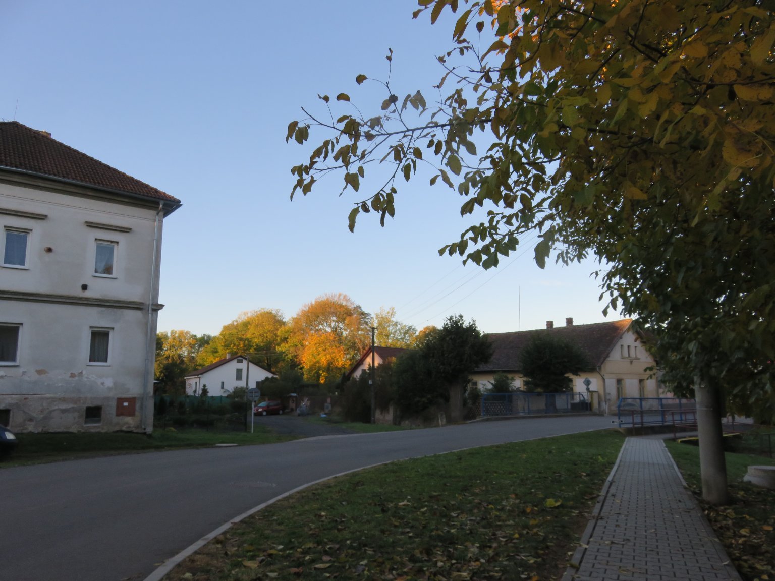 Třibřichy