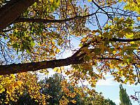 Třebíč-Borovina