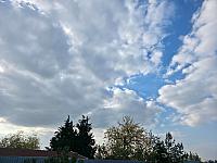 Odrovice