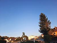 Olešná