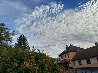 Olešná