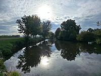Odrovice