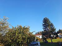 Olešná