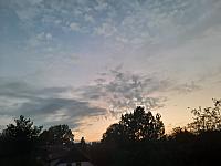 Olešná