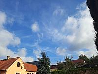 Olešná
