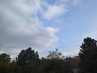 Olešná
