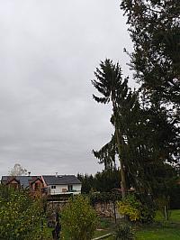 Fotografie