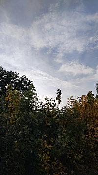 Radňov (Pelhřimov)
