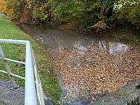 Kopřivnice