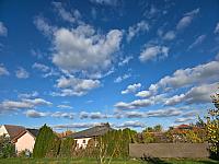 Odrovice