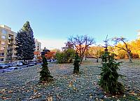 Třebíč-Borovina
