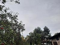 Olešná